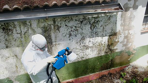 Trusted Commercial Mold Remediation service in Jamison, PA - Cheap Mold Removal